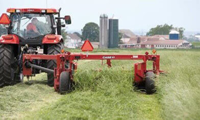 Hay and Forage